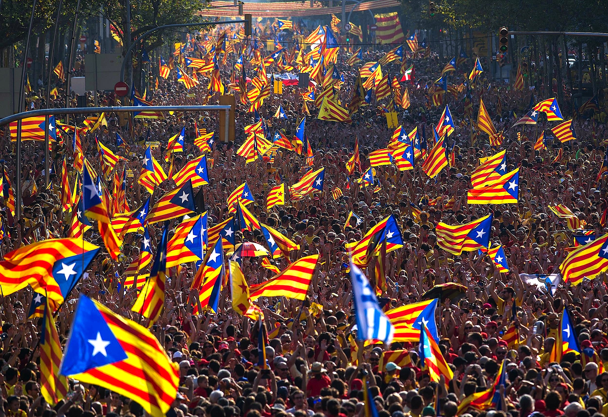 Image result for Protest for Catalan Independence