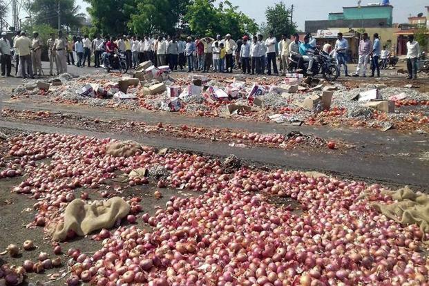 Farmers protest by throwing onions on the road in Nasik, Maharashtra. Credit: PTI