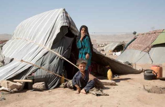 Amid Chronic Violence, Millions of Afghans Face Risks of Drought Related Displacement